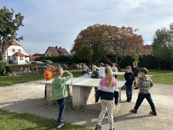 IMG_2485 (Copy).JPEG